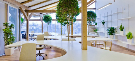 escritorio-sustentavel-office-green-house